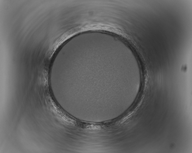 X0000115311505200911301524