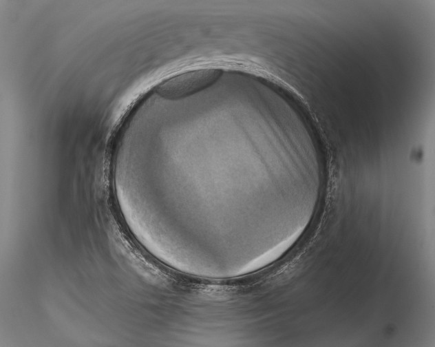 X0000115311506200911301524