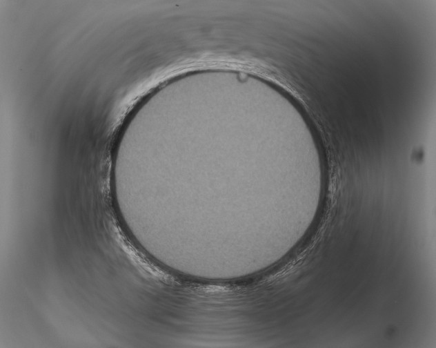 X0000115311507200911301524