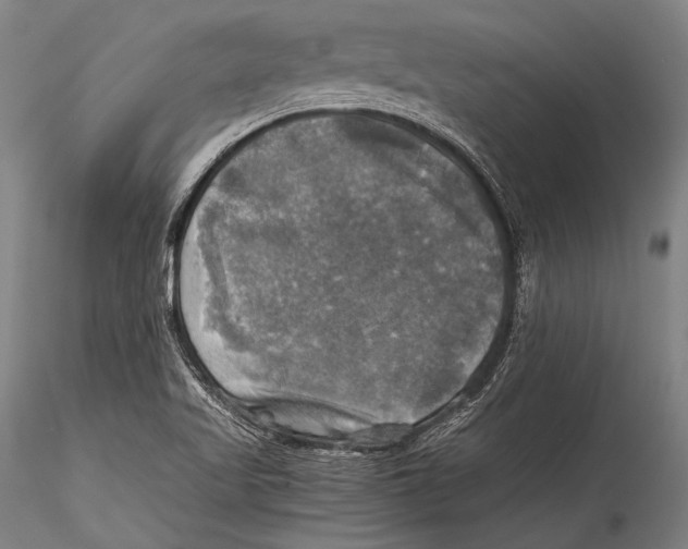 X0000115311509200911301524