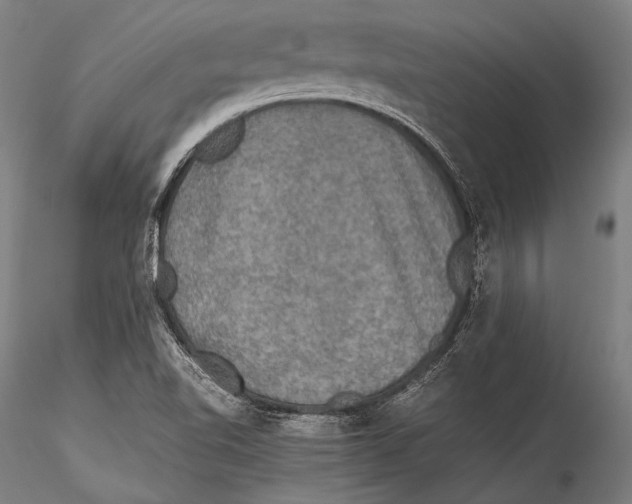 X0000115311510200911301524