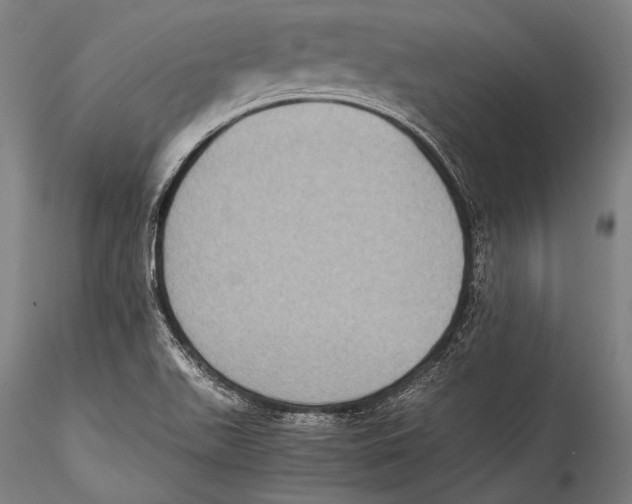 X0000115311511200911301524