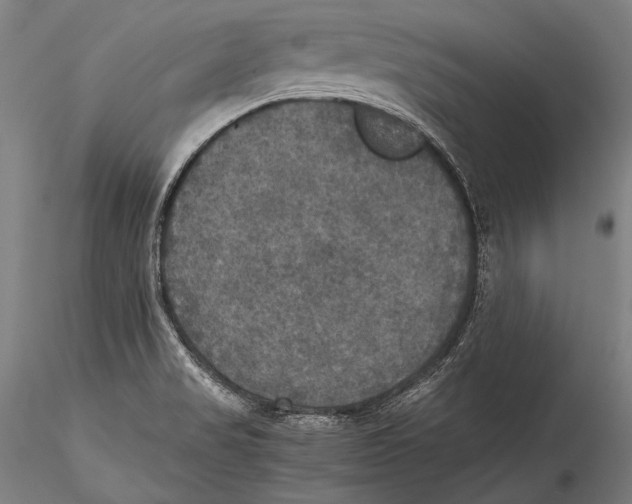 X0000115311517200911301524