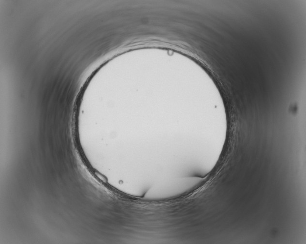 X0000115311518200911301524