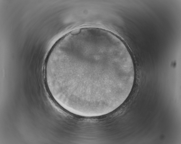 X0000115311519200911301524