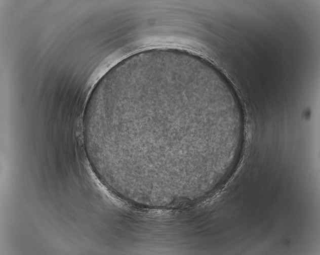 X0000115311521200911301524