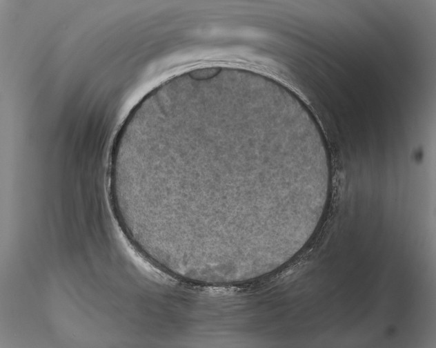 X0000115311523200911301524