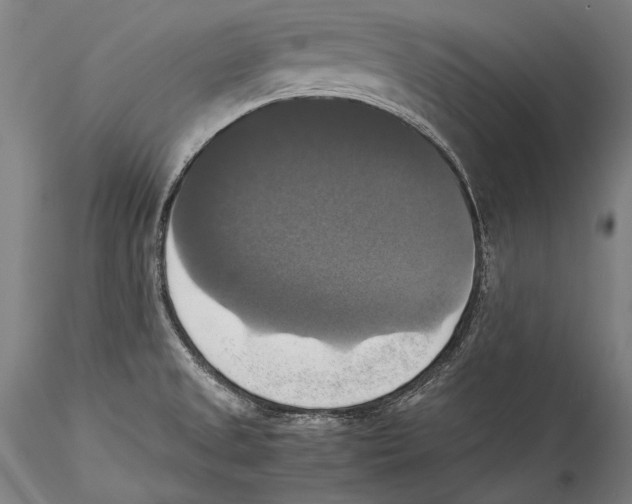 X0000115311525200911301524