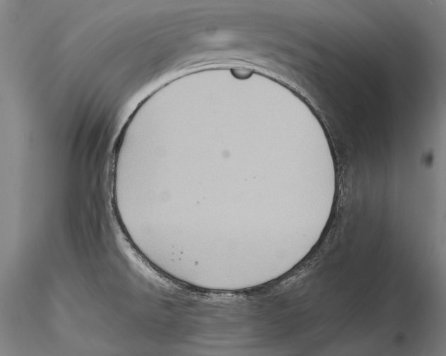 X0000115311526200911301524