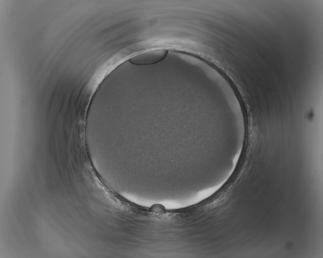 X0000115311529200911301524