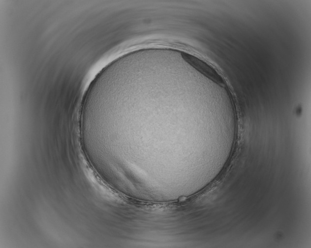 X0000115311530200911301524