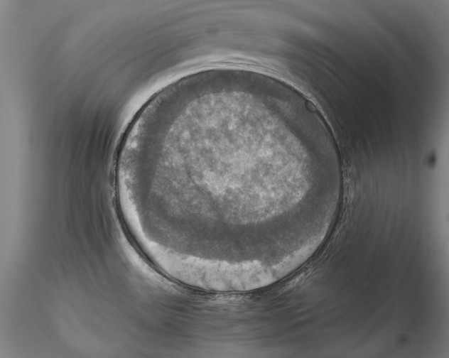 X0000115311531200911301524