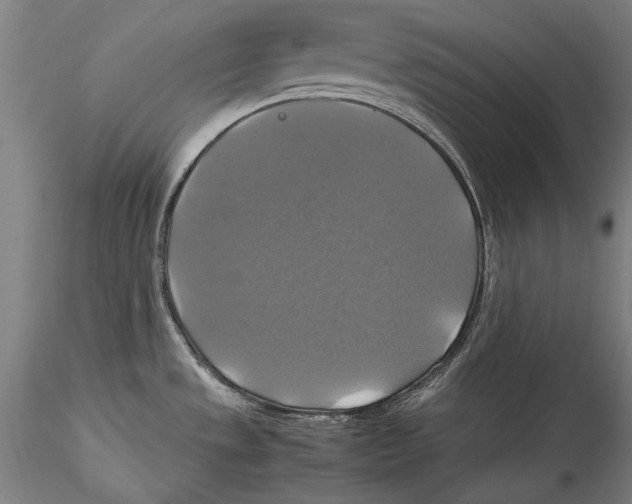 X0000115311533200911301524