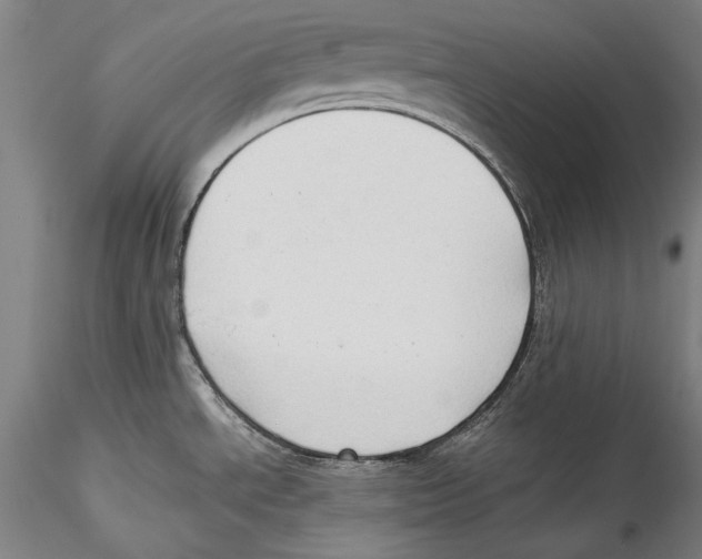 X0000115311534200911301524