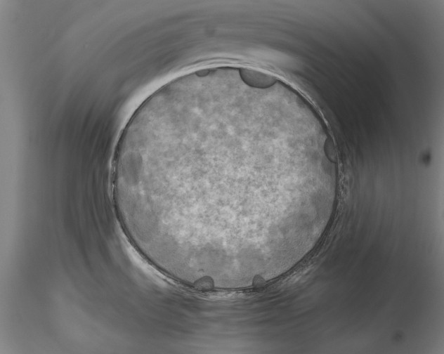 X0000115311535200911301524