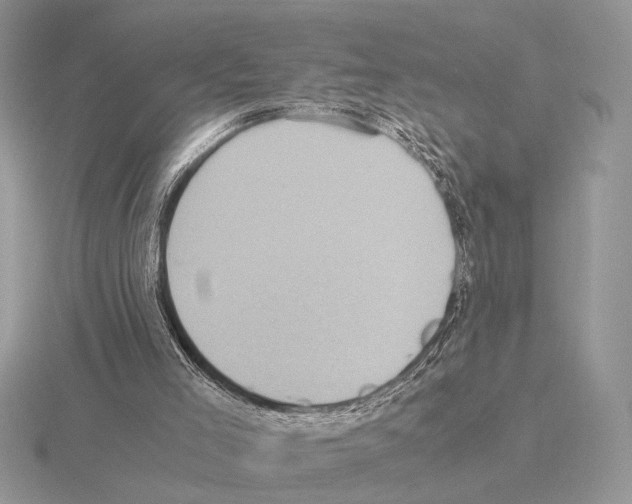 X0000115310005200912141147