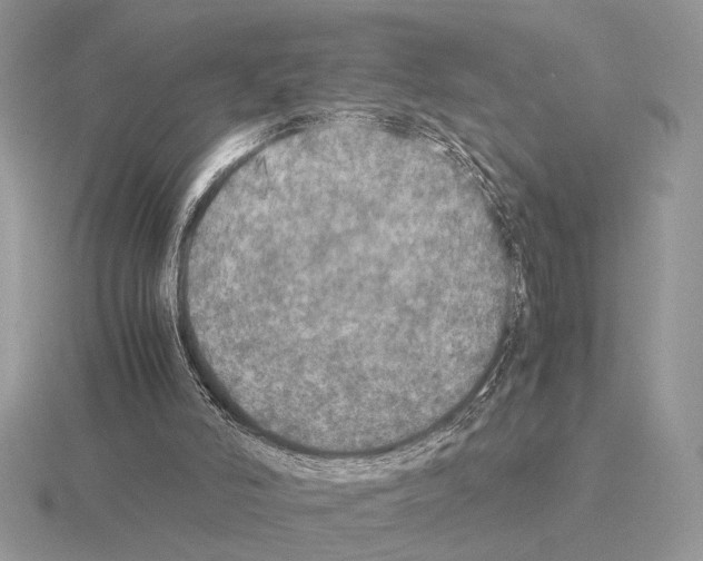 X0000115310006200912141147