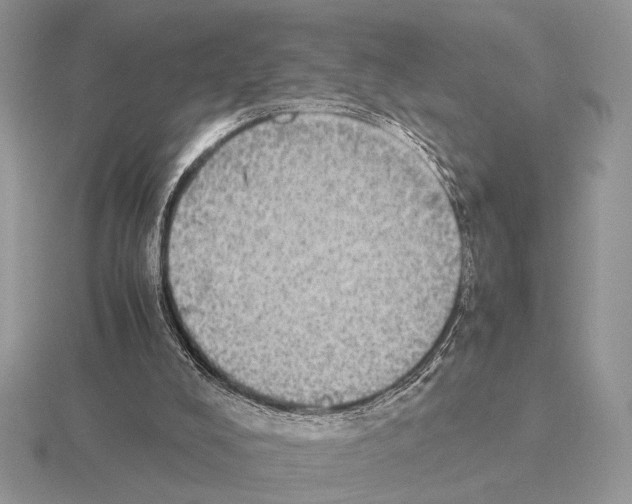 X0000115310008200912141147