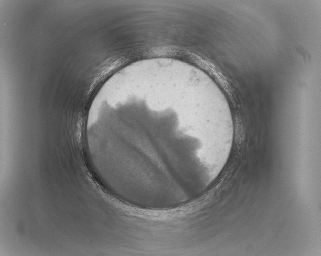 X0000115310010200912141146