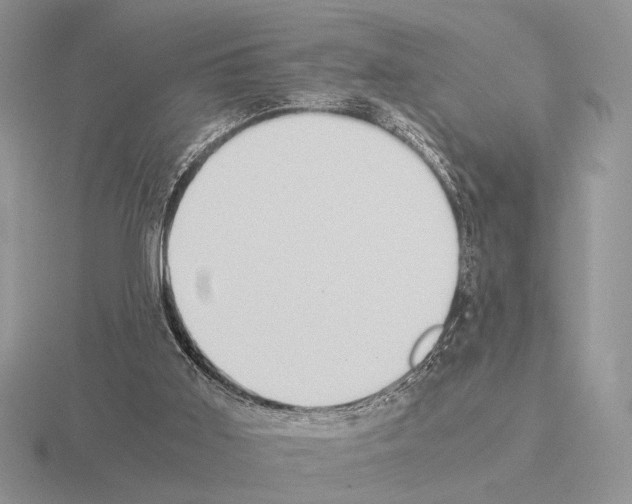 X0000115310011200912141146