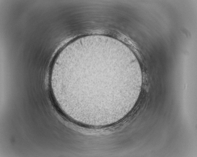 X0000115310012200912141146