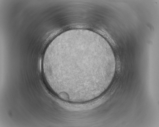 X0000115310014200912141146