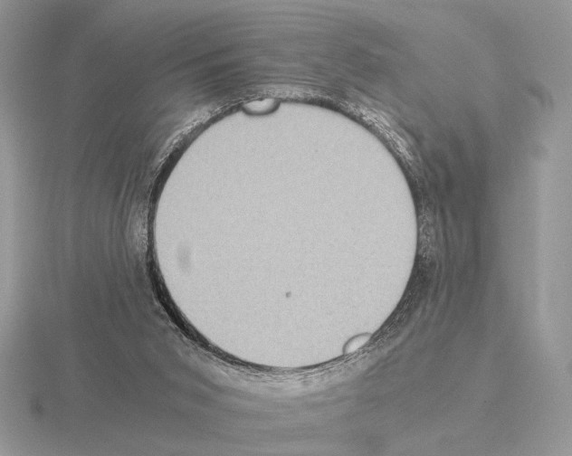 X0000115310015200912141146