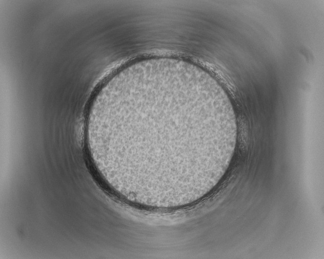 X0000115310016200912141146