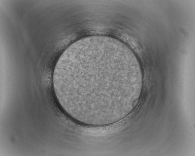 X0000115310017200912141146