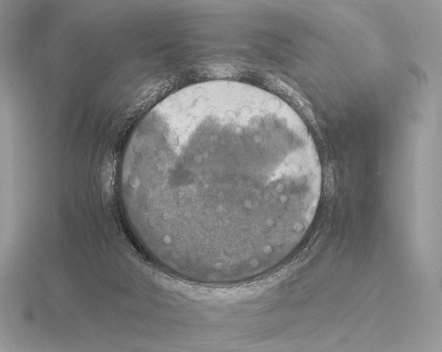 X0000115310018200912141146