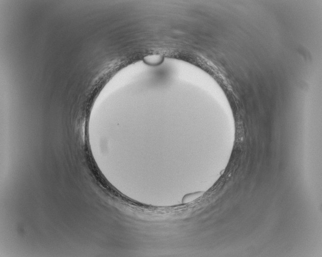 X0000115310019200912141146