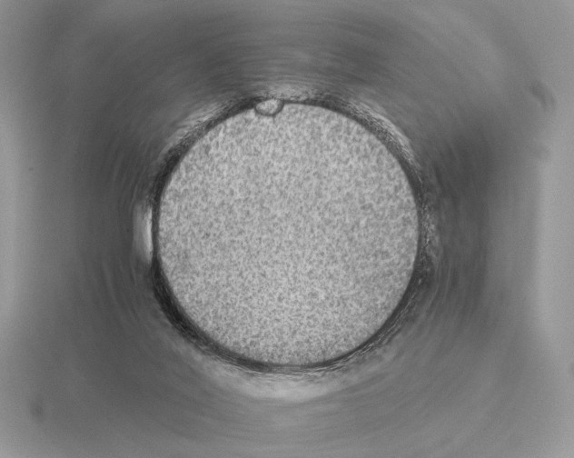 X0000115310020200912141146