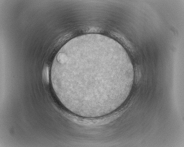 X0000115310022200912141146