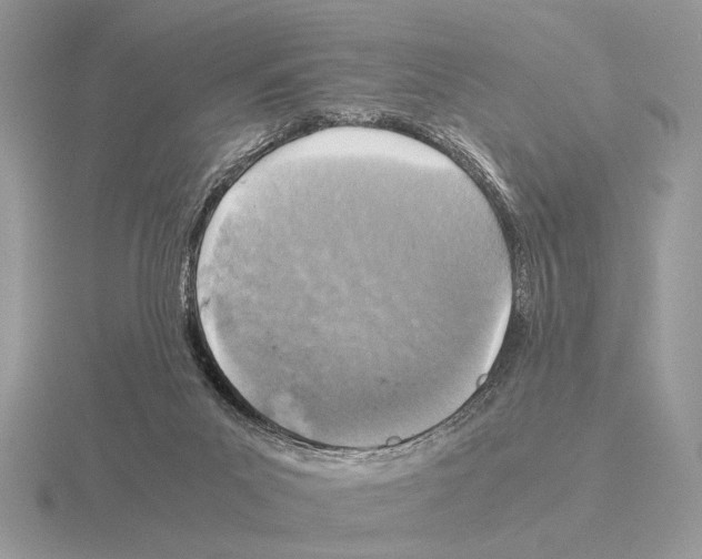 X0000115310023200912141146