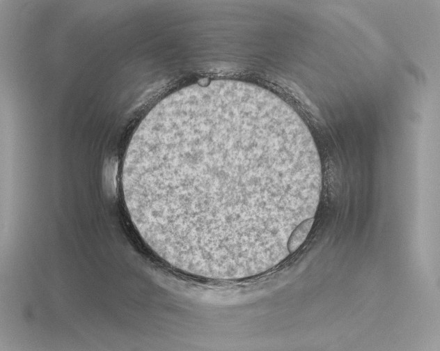 X0000115310024200912141146