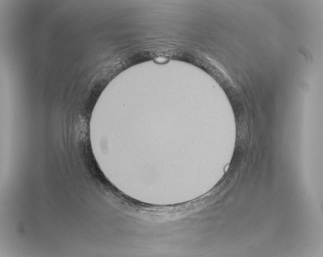 X0000115310025200912141146