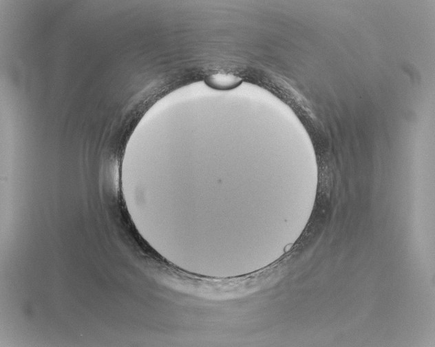 X0000115310027200912141146