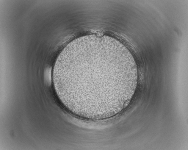 X0000115310028200912141146