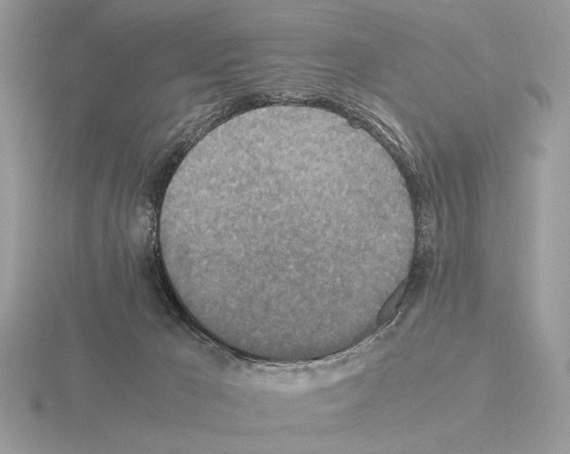 X0000115310029200912141146