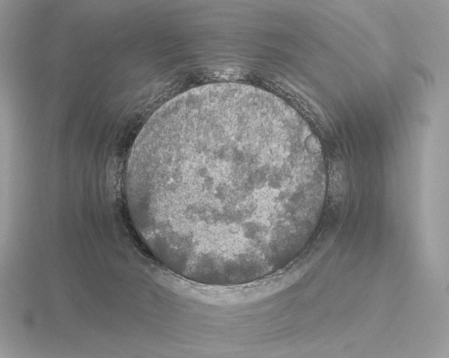 X0000115310030200912141146