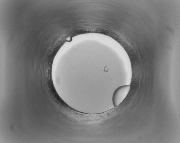 X0000115310031200912141146