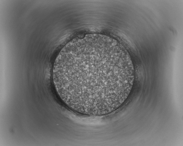 X0000115310032200912141146