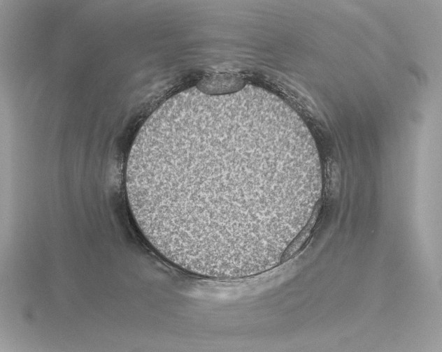 X0000115310033200912141146