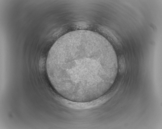 X0000115310034200912141146