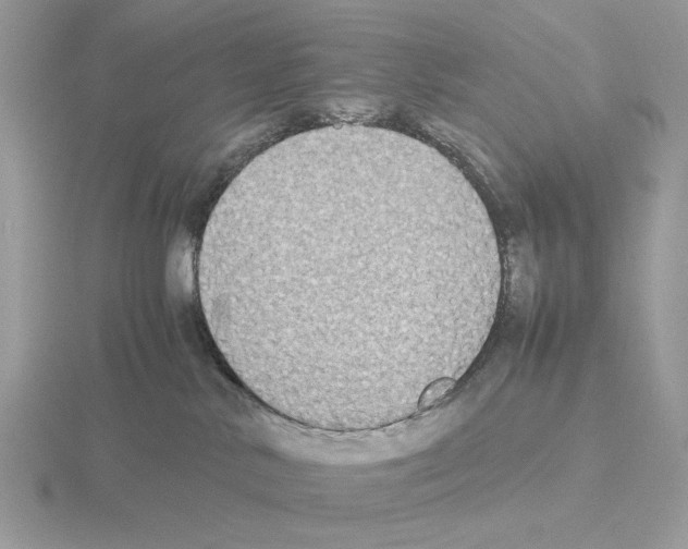 X0000115310042200912141146