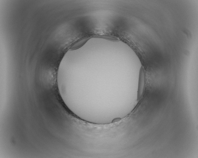 X0000115310043200912141146