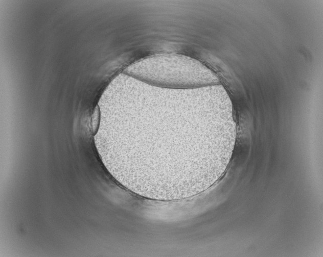 X0000115310045200912141146