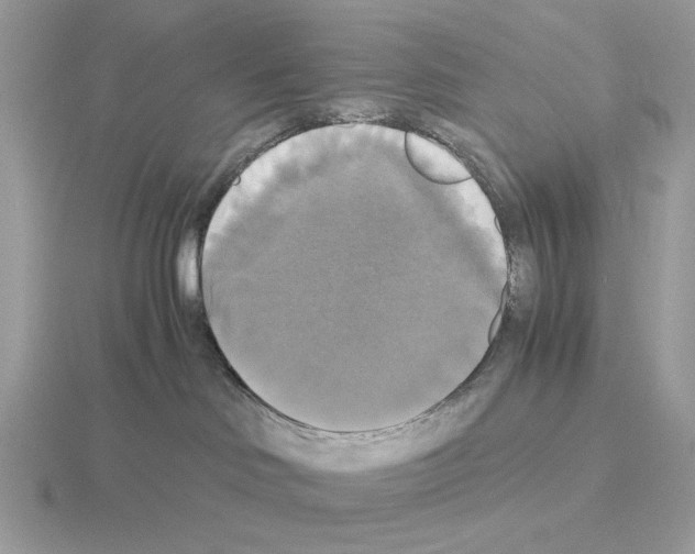 X0000115310046200912141146