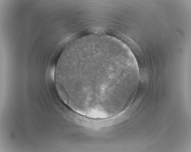 X0000115310047200912141146