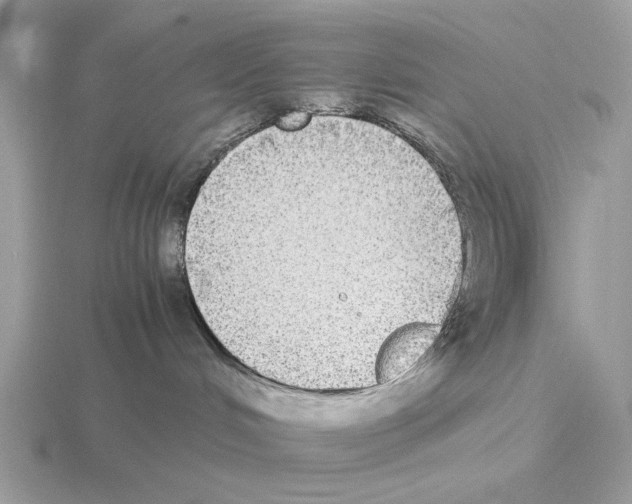 X0000115310048200912141146